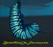 A Monarch Caterpillar hangs upside down ready for Chrysalis Transformation